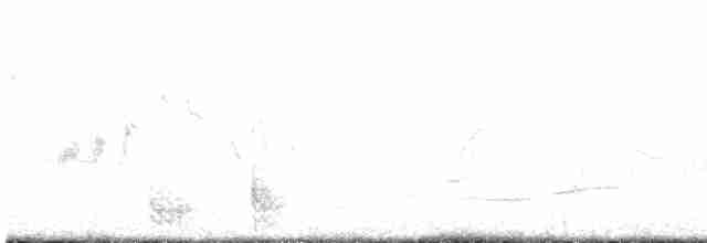 חרטומית ביצות - ML617626416