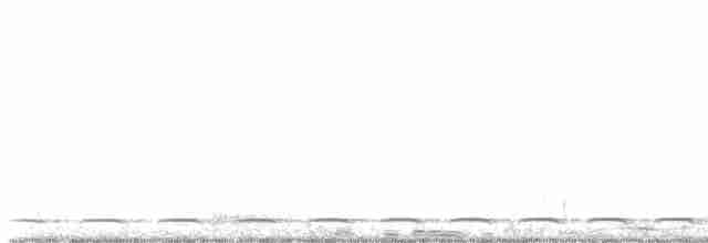 Streifenbrust-Ameisendrossel - ML617627897