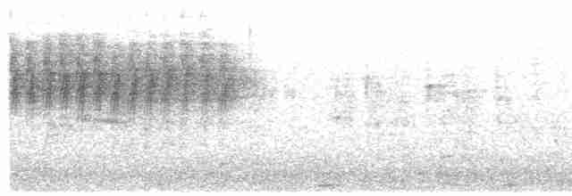 Gray Wagtail - ML617628017