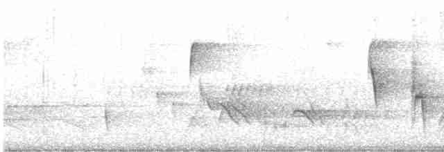Swainson's Warbler - ML617628213
