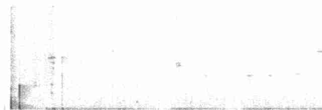 Трясогузковый певун - ML617628454