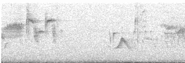 Каньонный крапивник - ML617628504