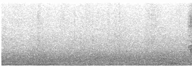 Кактусовый дятел - ML617628969