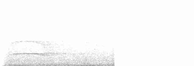 Какатоїс жовтохвостий - ML617629574