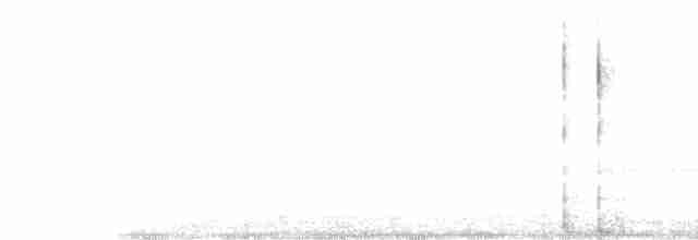 Turuncu Gagalı Bülbül Ardıcı - ML617630253