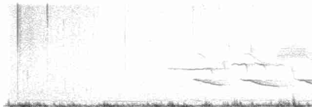 Чернохохлая гренадерка - ML617630276