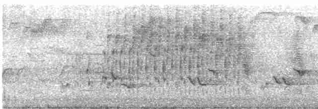 Troglodyte des marais - ML617631682