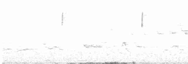 Червоїд сіроголовий - ML617632011