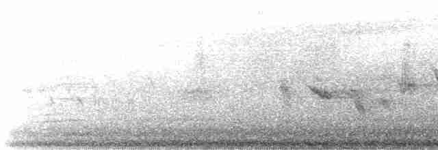 Bruant à couronne blanche (gambelii) - ML617632018