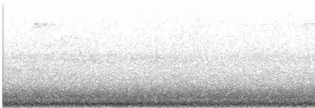 Bruant à couronne blanche (gambelii) - ML617632445