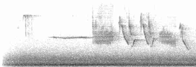 Бруант білобровий (підвид pugetensis) - ML617632449