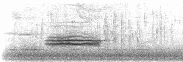 Turuncu Ardıç - ML617632603