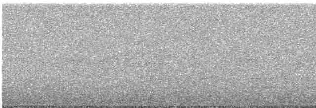 Weißbrustkleiber - ML617633128