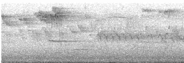 Cerulean Warbler - ML617635381