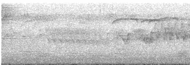 Cerulean Warbler - ML617635392