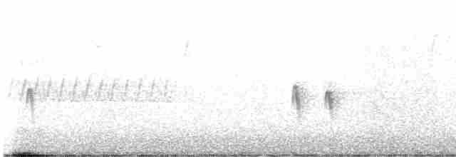 Шишкар ялиновий - ML617635694