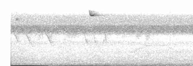 Белогрудый крапивник - ML617635967