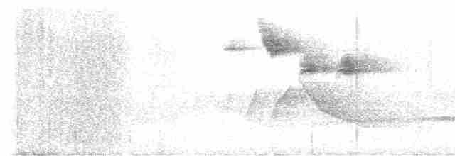 Akça Kaşlı Sinekkapan - ML617635973