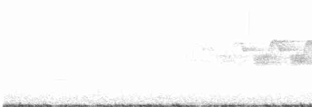 Hermit Warbler - ML617636044