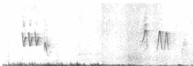 Черноголовый виреон - ML617636123