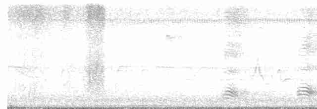 Cuervo Pescador - ML617636258