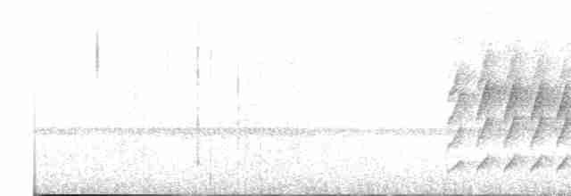 Mérulaxe de Spillmann - ML617636677