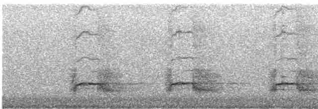 Дятел-смоктун сосновий - ML617638574