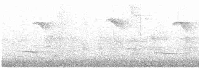 Rufous-breasted Wren - ML617639543