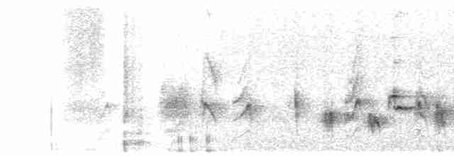 Spot-throated Babbler - ML617639790