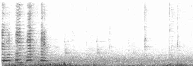 Cygne trompette - ML617640228