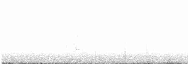 White-cheeked Starling - ML617641112