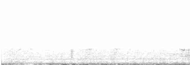 Ibis à face blanche - ML617642110