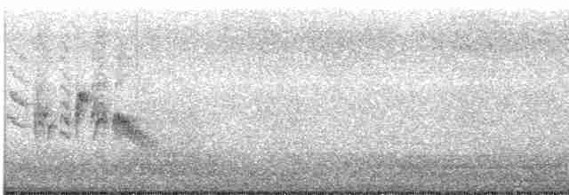 Віреон короткокрилий (підвид pusillus) - ML617643124