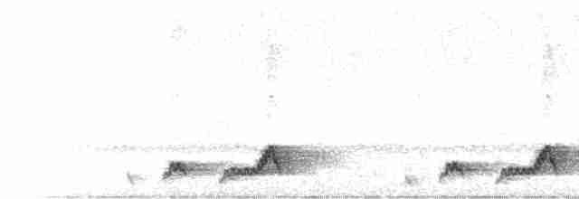 Mexikonachtschwalbe - ML617643556