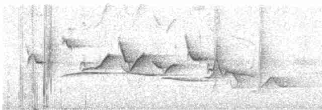Серогорлая гранателла - ML617649752