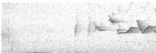 Серогорлая гранателла - ML617649834