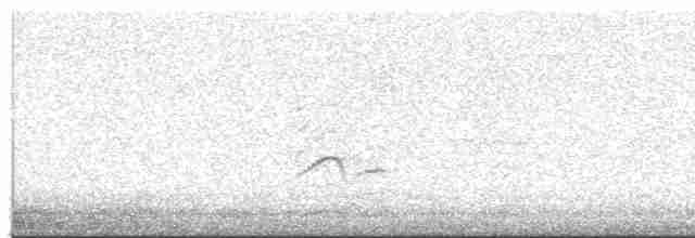 Чайка чубата - ML617650278