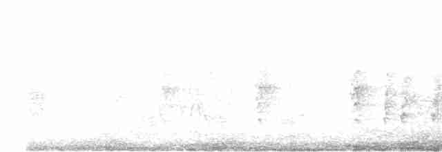 Black-browed Reed Warbler - ML617651525