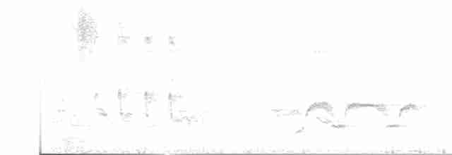 Тремблер прямодзьобий - ML617653434