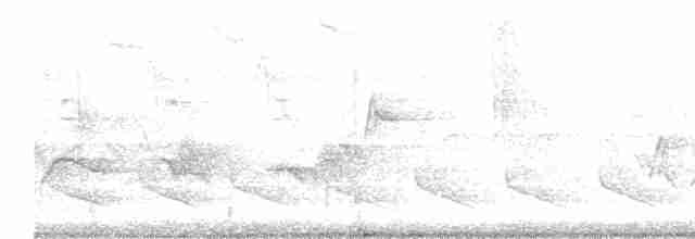 Cerulean Warbler - ML617653636