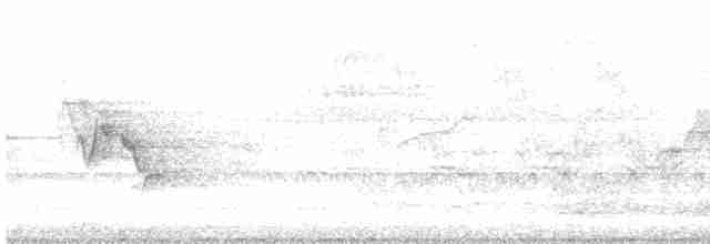 Cerulean Warbler - ML617653649