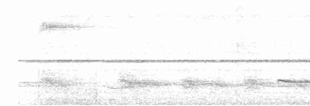 Пестрогрудый зимородок - ML617654250