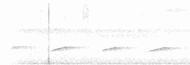 Кустарниковая кукушка (sepulcralis/everetti) - ML617654293