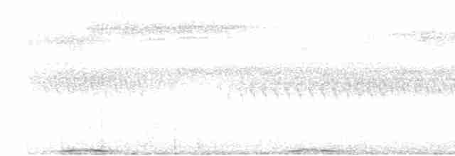 Ptilope de Leclancher - ML617654801