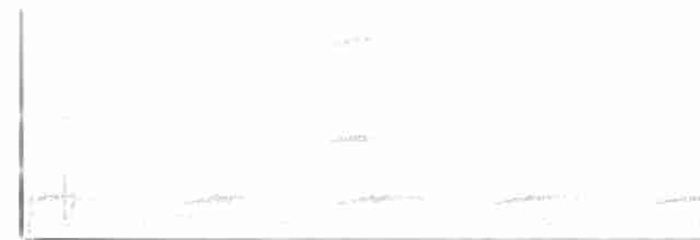 Kara Tepeli Küçük Tiran - ML617655430