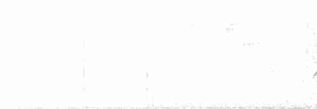 Chocó-Strichelameisenschlüpfer - ML617656481
