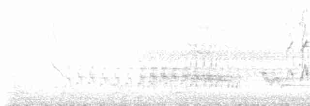 Turuncu Ardıç - ML617656771