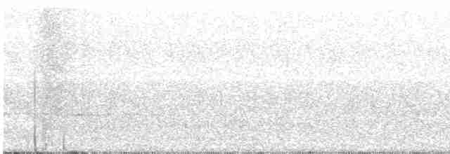 Трясогузковый певун - ML617656997