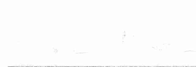 Воронок (urbicum/meridionale) - ML617658207