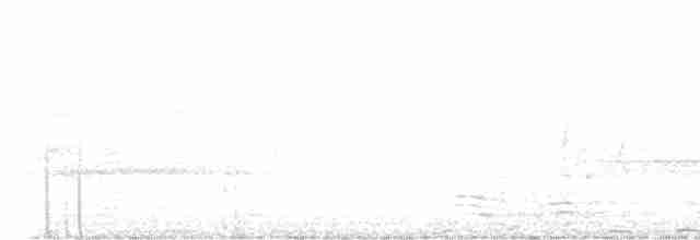 White-eyed Vireo - ML617660240